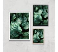 Leaves From Above Giclee Art Print - A4 - Wooden Frame