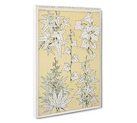Leaves from Nature No. 3 by Owen Jones Canvas Print | Gallery Wrapped 30mm Frame Wall Art | 30x20 inches | Ready to Hang | Modern Floral Picture | Living Room Bedroom Lounge Office