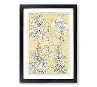 Leaves from Nature No. 3 by Owen Jones Framed Print | A2 Black Framed Wall Art | Ready to Hang | Modern Floral Picture | Living Room Bedroom Lounge Office