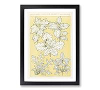 Leaves from Nature No. 5 by Owen Jones Framed Print | A2 Black Framed Wall Art | Ready to Hang | Modern Floral Picture | Living Room Bedroom Lounge Office