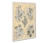 Leaves from Nature No. 7 by Owen Jones Canvas Print | Gallery Wrapped 30mm Frame Wall Art | 30x20 inches | Ready to Hang | Modern Floral Picture | Living Room Bedroom Lounge Office