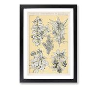 Leaves from Nature No. 7 by Owen Jones Framed Print | A2 Black Framed Wall Art | Ready to Hang | Modern Floral Picture | Living Room Bedroom Lounge Office