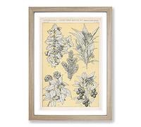 Leaves from Nature No. 7 by Owen Jones Framed Print | A2 Oak Framed Wall Art | Ready to Hang | Modern Floral Picture | Living Room Bedroom Lounge Office