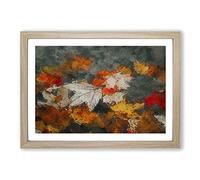 Leaves in Autumn in Abstract Framed Print | A2 Oak Framed Wall Art | Ready to Hang | Abstract Floral Picture | Living Room Bedroom Lounge Office