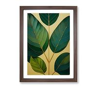 Leaves Of A Plant No.1 Framed Print | A2 Walnut Framed Wall Art | Ready to Hang | Modern Floral Picture | Living Room Bedroom Lounge Office