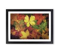 Leaves on an Autumn Forest Framed Print | A2 Black Framed Wall Art | Ready to Hang | Modern Floral Picture | Living Room Bedroom Lounge Office