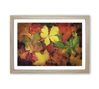 Leaves on an Autumn Forest Framed Print | A2 Oak Framed Wall Art | Ready to Hang | Modern Floral Picture | Living Room Bedroom Lounge Office