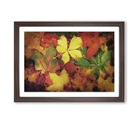 Leaves on an Autumn Forest Framed Print | A2 Walnut Framed Wall Art | Ready to Hang | Modern Floral Picture | Living Room Bedroom Lounge Office