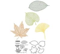 Leaves Stamps and Die Cuts for Card Making Maple Leaves Transparent Silicone Clear Stamp and Metal Cutting Dies Sets for DIY Scrapbooking Paper Crafting Seals Decorative Supplies