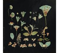 Leaving Laurel - when the quiet comes [VINYL]