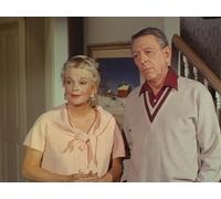 Leaving the Nest Is for the Birds