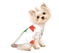 Lebanon Flag Map Print Lightweight Dog Vest, Cat Sleeveless Shirt, Breathable Mesh Design for Summer Walking and Play
