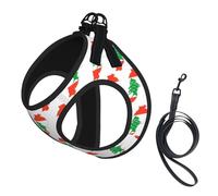 Lebanon Flag Map Print Soft Mesh Dog Harness and Leash Set Pet Puppy Cat Comfort Padded Vest No Pull Harnesses