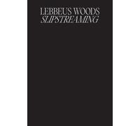 Lebbeus Woods: Undercurrents : The Storm / Turbulence