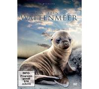 Leben im Wattenmeer, Das