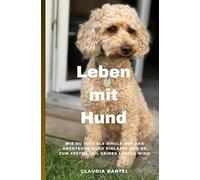 Leben mit Hund: Wie du dich als Single auf das Abenteuer Hund einlässt und er zum festen Teil deines Lebens wird