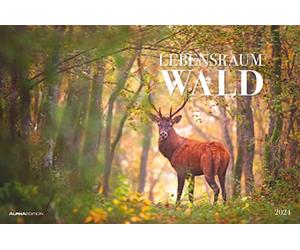 Lebensraum Wald 2024 - Picture Calendar 49.5 x 33 cm - Animals and Plants in Our Native Forests - Wall Calendar - Wall Planner - Animal Calendar