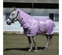 Leberna Miniature Fly Rug Combo for Shetland Pony, Donkey, Section A and Miniature Horse, Insects Flies Bug Protection (Purple, 4' 6")