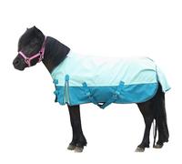 Leberna Pony Turnout Rug, 1200D Waterproof Lightweight Rain Sheet for Miniature Shetland Foal Donkey and Section A (No Fill) (Turquoise, 3'3")
