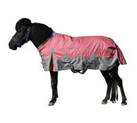 Leberna Pony Turnout Rug, 1200D Waterproof Lightweight Rain Sheet for Miniature Shetland Foal Donkey and Section A (No Fill) (Pink, 3'3")
