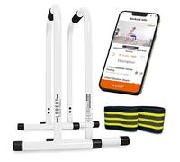 Lebert Fitness Equalizer with Resistance Band - Calisthenics Equipment ✓ Dip Station ✓ Push Up Stand Bar ✓ Pull Up Dip Bar ✓ Bodyweight Equipment ✓ For Intensive Use