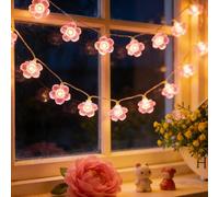 LEBKFT Cherry Blossom String Lights, 3M 20 LED USB Fairy Lights with Flower Shaped Bulbs Warm White Blossom Lights for Bedroom Indoor Outdoor Wedding Decoration Christmas and Party (Warm White A)