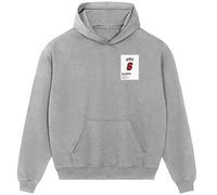 LeBron James 6 Jersey Frame Men's Hoodie - Gray / M