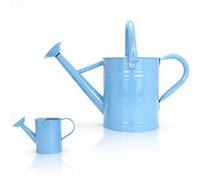 Lechloris Metal Watering Can Set - 1 Gallon Adult & 0.16 Gallon Kids, Light Blue