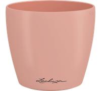 Lechuza Vessel, Magnolia, Kleine