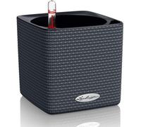 Lechuza CUBE Color 14 Self Watering Planter Small Platic Indoor Plant Pot witho