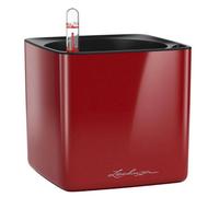 Lechuza Cube Glossy 16 Scarlet Red High-Gloss Plastic Self-Watering Planter With Water Level Indicator H16 L17 W17 Cm