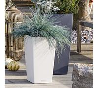 Lechuza Cubico Color 41Cm White Plastic Self-Watering Tall Planter - Indoor & Outdoor Use