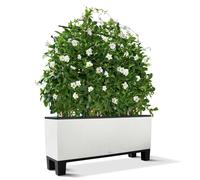 LECHUZA Pedestals for TRIO