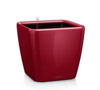 Lechuza Quadro Ls 35 Scarlet Red High-Gloss Self-Watering Planter With Substrate And Water Level Indicator H33 L35 W35 Cm