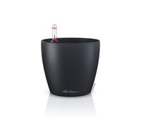 Lechuza Vessel, darkslategray