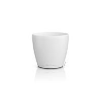 Lechuza Vessel, White