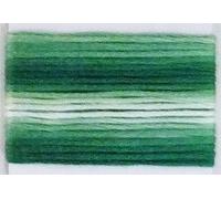 Lecien Japan SE80-8023 Cosmo Seasons Variegated Embroidery Floss, Greens
