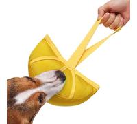 Leckerli-Spielzeug Für Hunde - Hundespielzeug | Schnüffelspielzeug Mit Orangefarbenem Segment | Bissfestes Hundetrainingsspielzeug | Kauspielzeug Für Kleine, Mittelgroße Und Große Hunde