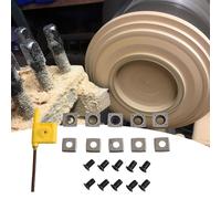 Lecreatekit Carbide Square Indexable Inserts, 15x15x2.5mm, 30° Bevel, R0.5mm Rounded Corner, for Woodworking Planer & Lathe Turning, 10-Piece with Screws and Wrench