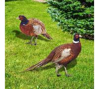 Lecreatekit Realistic Pheasant Yard Decorations 2pcs Acrylic Garden Ornaments for Enhancing Your Outdoor Space (B)