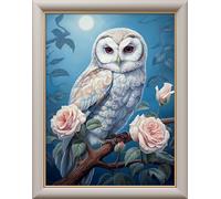 Leczany 11CT 3 Strand Cross Stitch Stamped Kit - Embroidery Starter Kit - Printed Canvas Complete Needlework Kit Adult or Kids for Beginners - Moonlight Owl 33x43cm