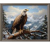 Leczany DIY 11CT Stamped Cross-Stitch Kit - Pre-Printed Embroidery Starter Kit, Needlework Canvas Handicrafts Kit for Adults or Kid for Beginners - Snow Mountain Eagle 52x39cm