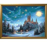 Leczany DIY Stamped 11CT Cross Stitch Kit - Full Range of Beginners Embroidery Kits Easy Pattern Pre-Printed - Castle Under the Moon 57x40cm