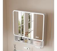 LED Bathroom Cabinet with Aluminum Frame & Storage Anti-Fog Surface LED Illuminated Mirror & Modern Bathroom ty Stylish & Functional Design