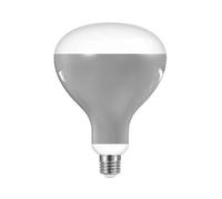 LED Bulb 13W E27 220-240V 2700K R125