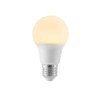 LED Bulb 'E27 LED 8W' (E27) from Arcchio | Light Bulbs