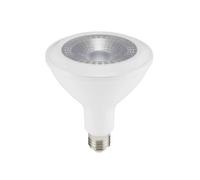 LED Bulb SAMSUNG CHIP E27 PAR38 14W 6400K°