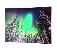 LED Canvas Art Northern Lights Light Up Winter Forest Snowy Tree Xmas Wall Decor 40cm x 30cm