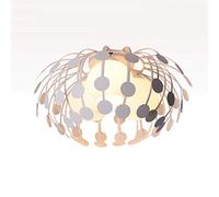 LED Ceiling Chandelier for Living Bedroom Lighting Fixtures Dining Room Loft Pendant Lamp,Hanging Light(B)