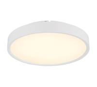 LED Ceiling Light Ceiling Light Night Light Dimmable White Remote Control D 39 cm